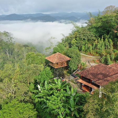 Spice Forest Plantation Homestay, Thekkady Vandiperiyār Dış mekan fotoğraf