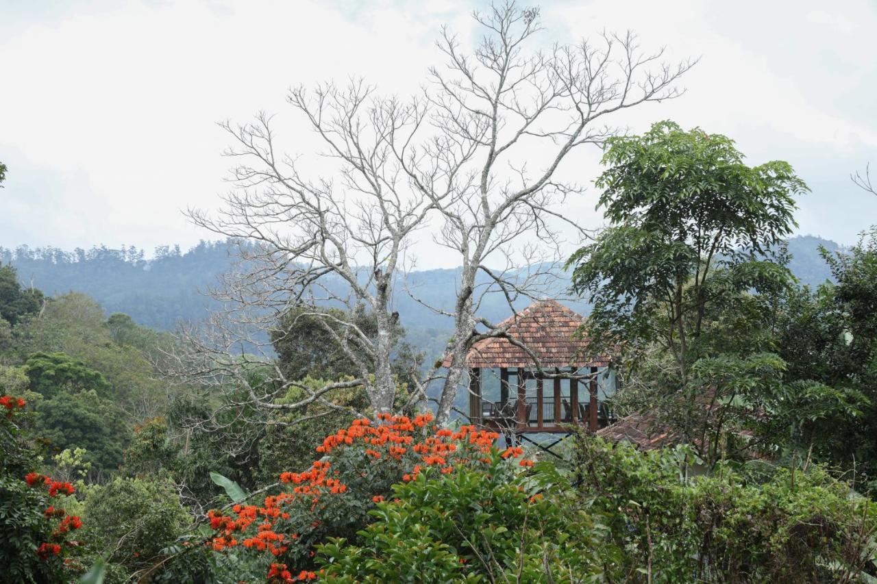 Spice Forest Plantation Homestay, Thekkady Vandiperiyār Dış mekan fotoğraf
