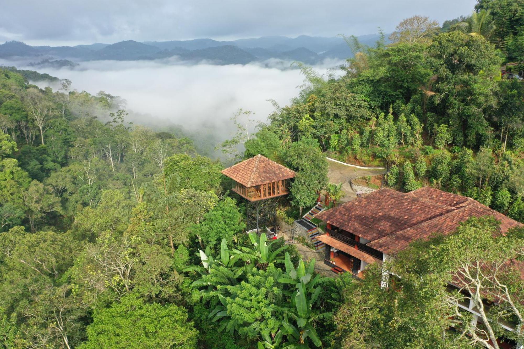 Spice Forest Plantation Homestay, Thekkady Vandiperiyār Dış mekan fotoğraf