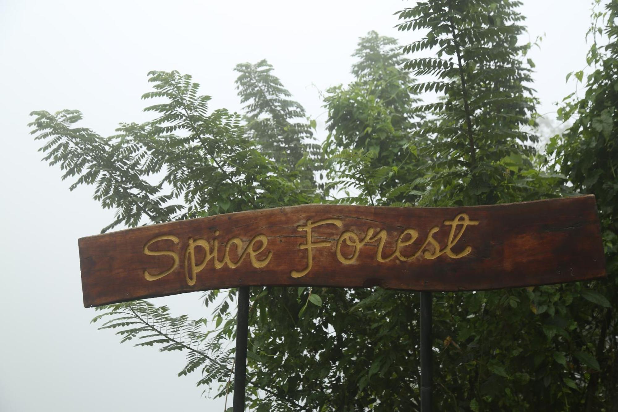 Spice Forest Plantation Homestay, Thekkady Vandiperiyār Dış mekan fotoğraf