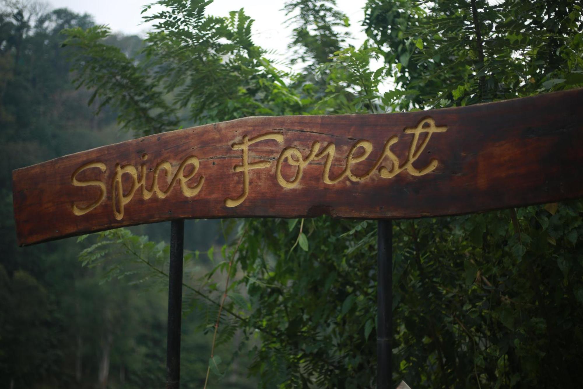 Spice Forest Plantation Homestay, Thekkady Vandiperiyār Dış mekan fotoğraf
