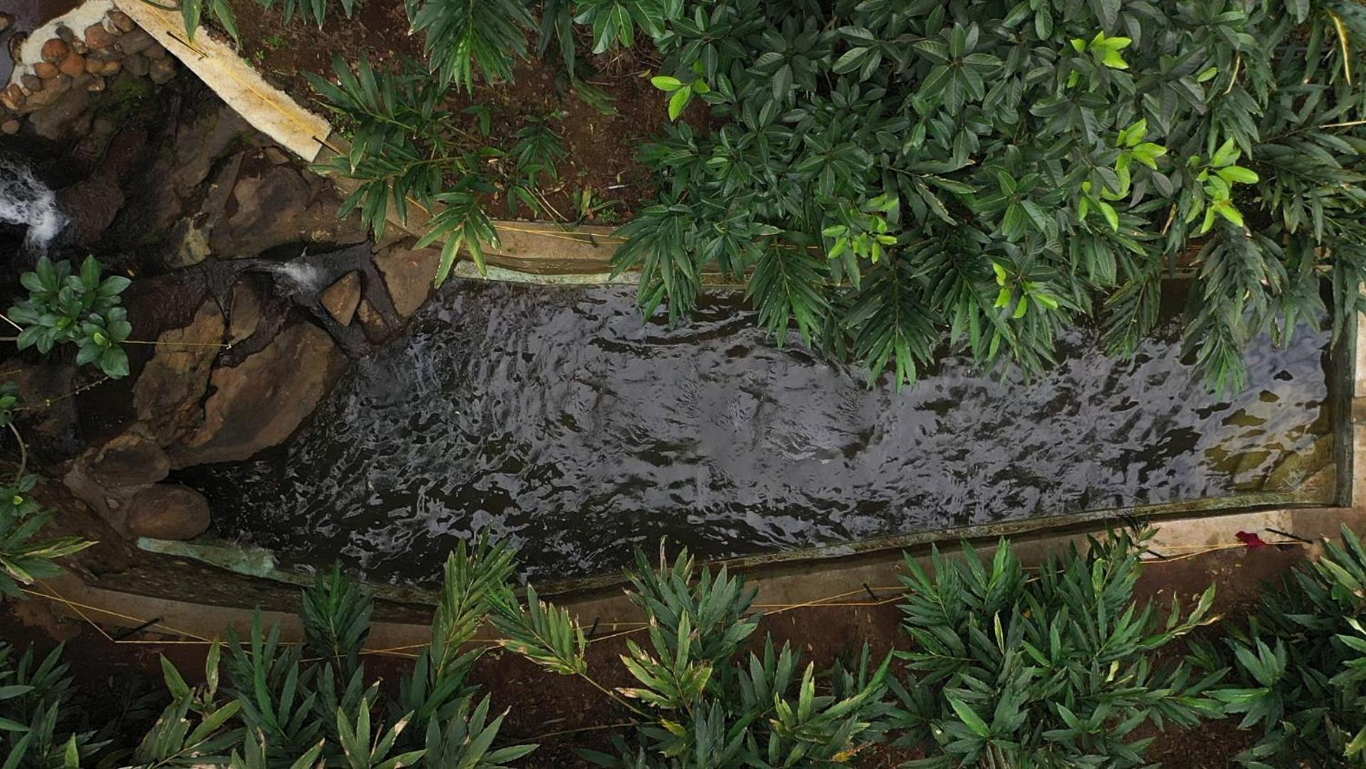 Spice Forest Plantation Homestay, Thekkady Vandiperiyār Dış mekan fotoğraf